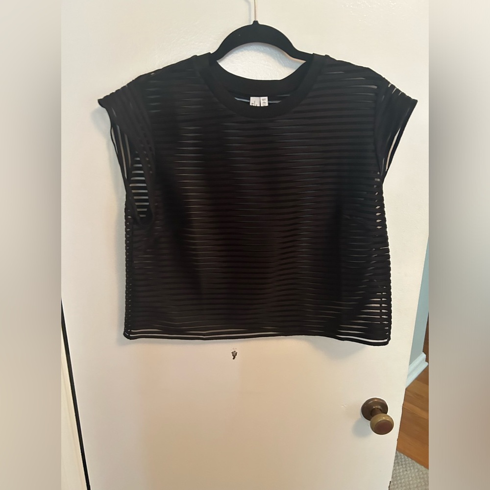 Sheer crop top